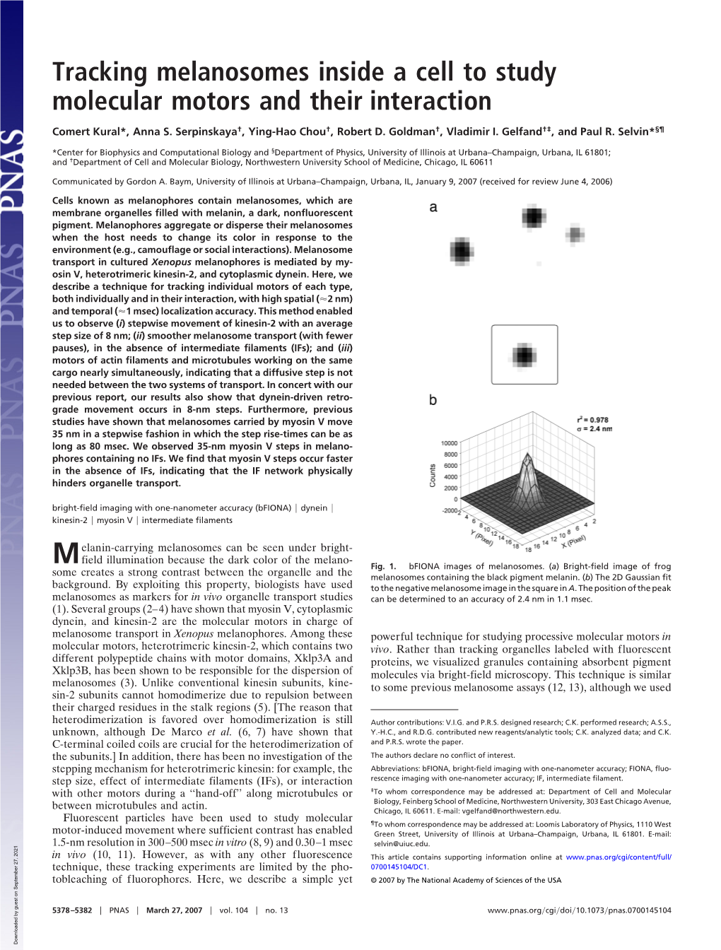 Tracking Melanosomes Inside a Cell to Study Molecular Motors and Their Interaction