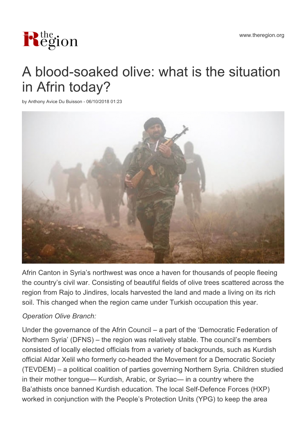 A Blood-Soaked Olive: What Is the Situation in Afrin Today? by Anthony Avice Du Buisson - 06/10/2018 01:23