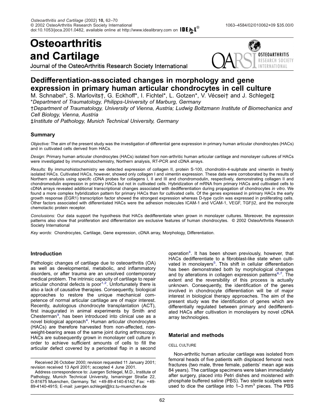 Dedifferentiation-Associated Changes in Morphology and Gene Expression in Primary Human Articular Chondrocytes in Cell Culture M