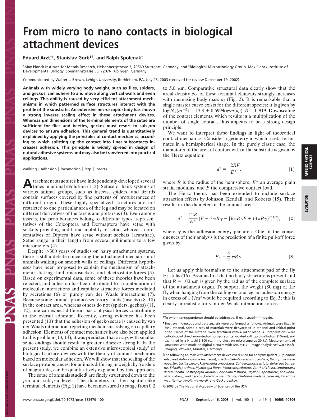 From Micro to Nano Contacts in Biological Attachment Devices