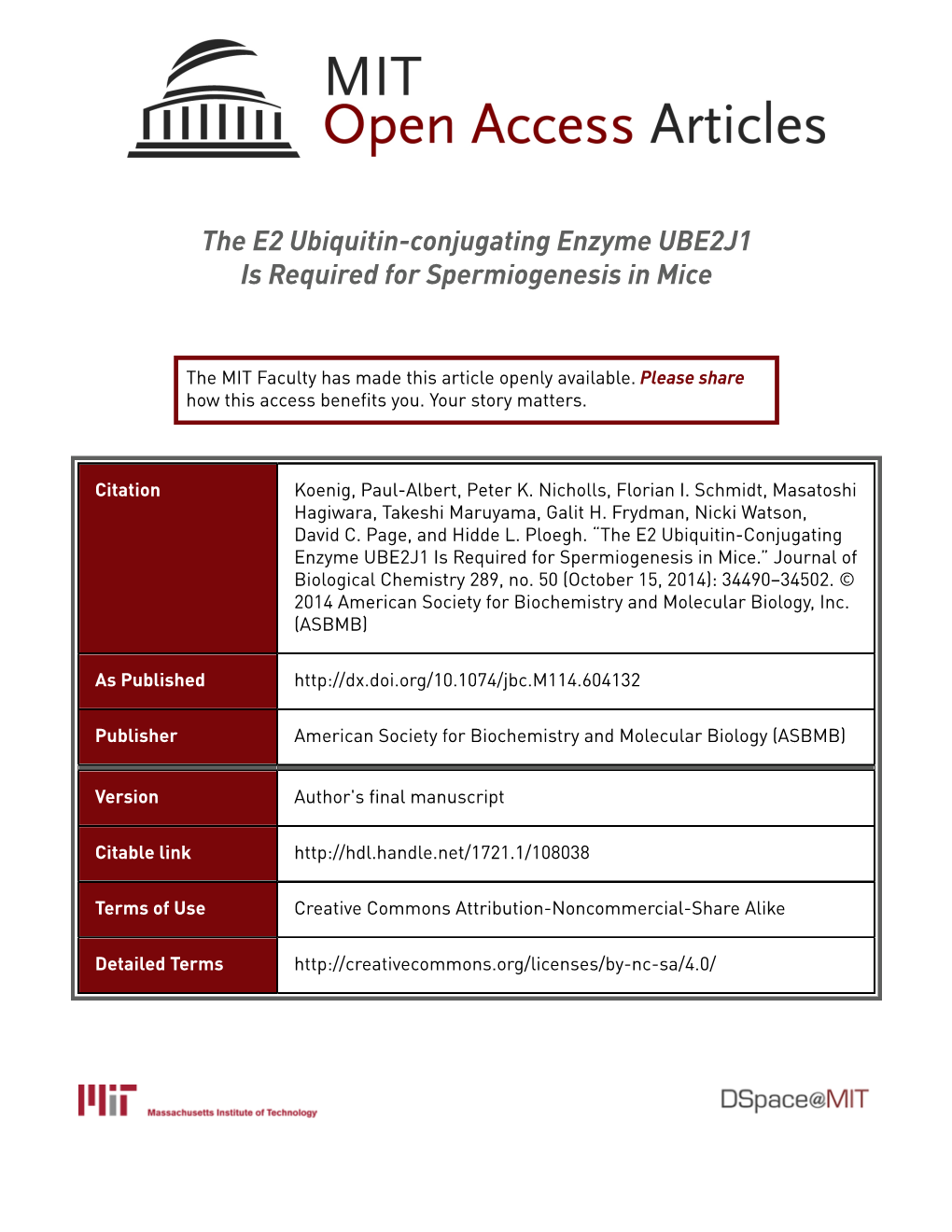 The E2 Ubiquitin-Conjugating Enzyme UBE2J1 Is Required for Spermiogenesis in Mice