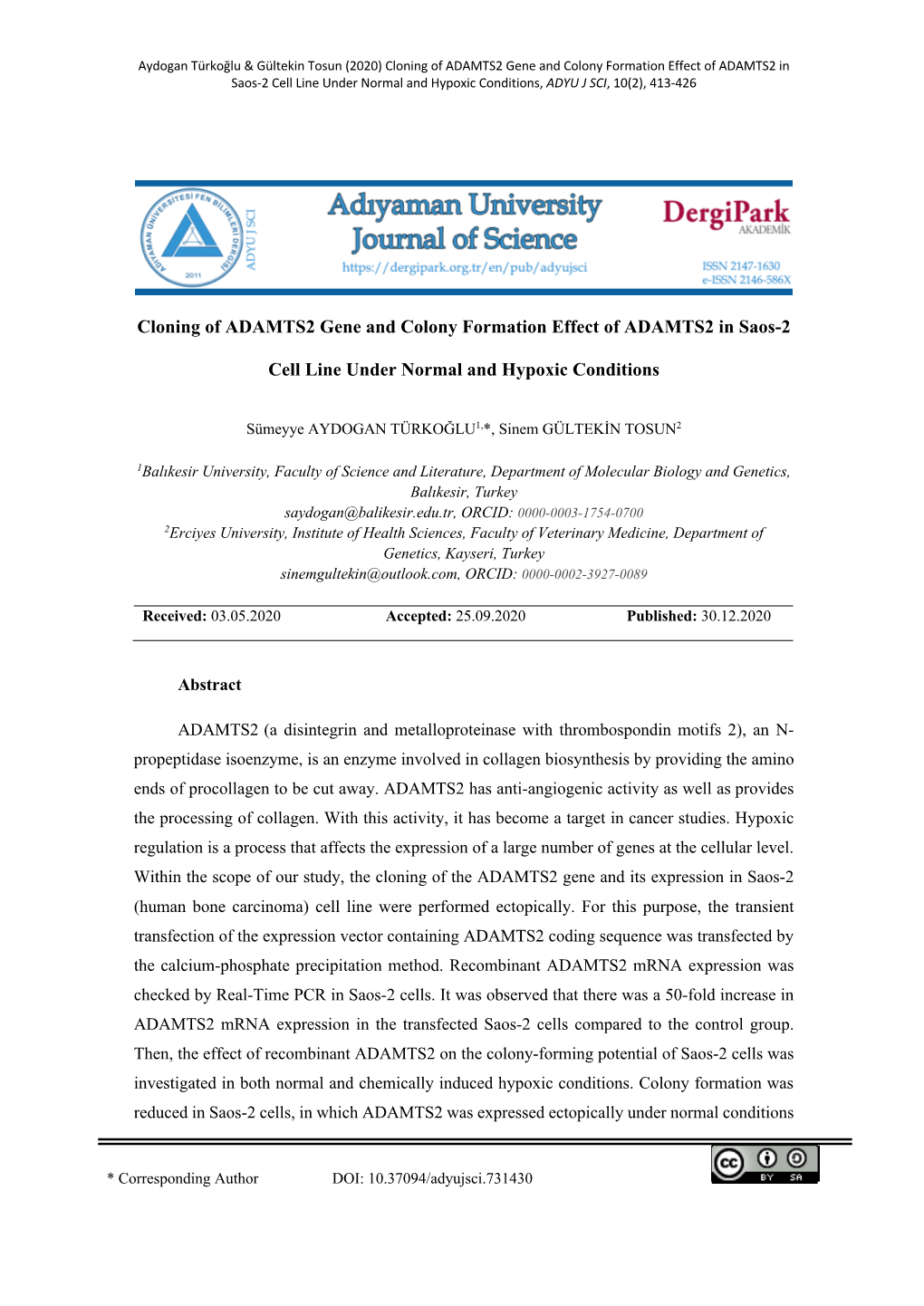 Cloning of ADAMTS2 Gene and Colony Formation Effect of ADAMTS2 in Saos-2 Cell Line Under Normal and Hypoxic Conditions, ADYU J SCI, 10(2), 413-426