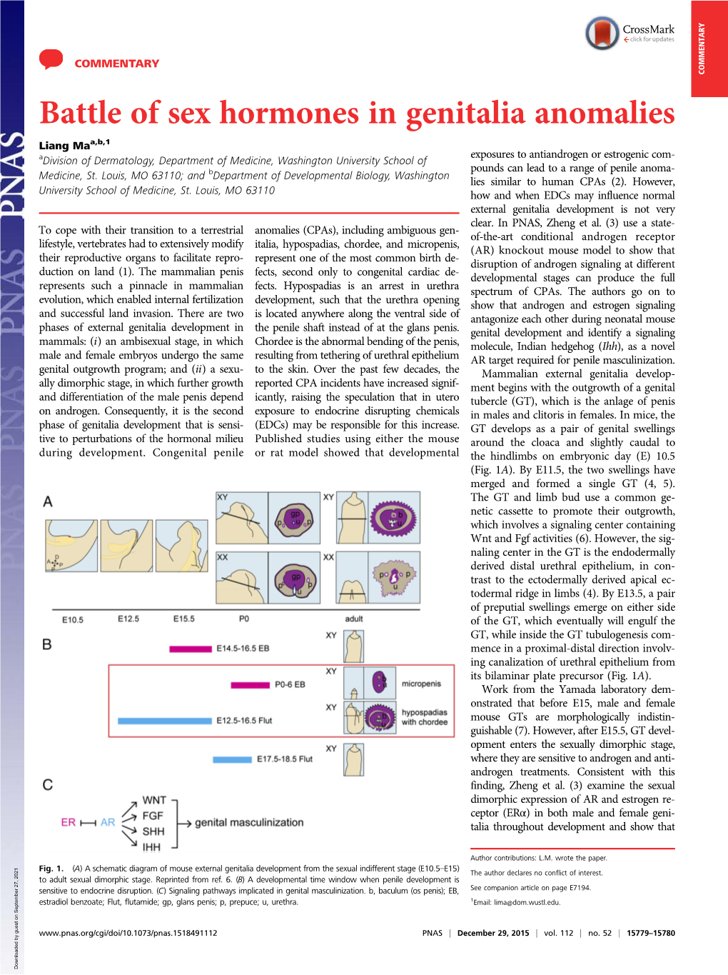 Battle of Sex Hormones in Genitalia Anomalies