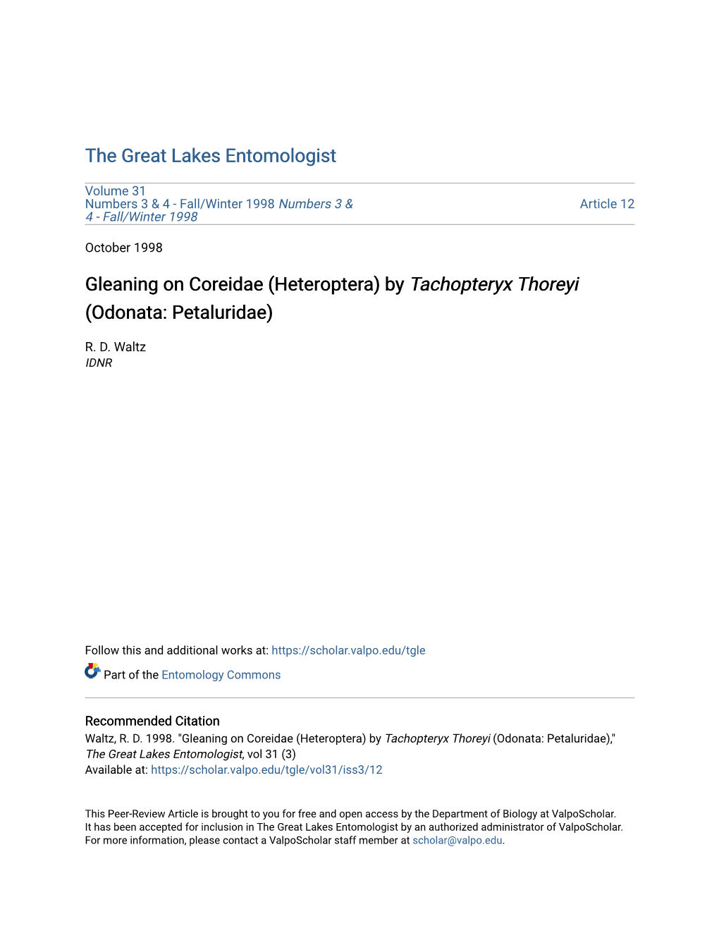 Gleaning on Coreidae (Heteroptera) by Tachopteryx Thoreyi (Odonata: Petaluridae)