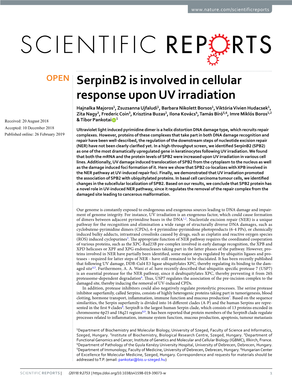 Serpinb2 Is Involved in Cellular Response Upon UV Irradiation