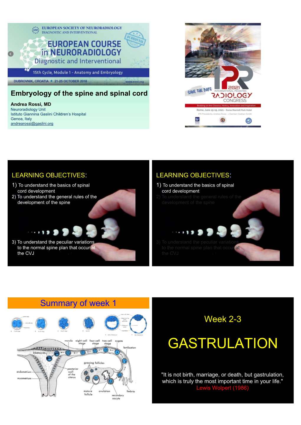 Gastrulation