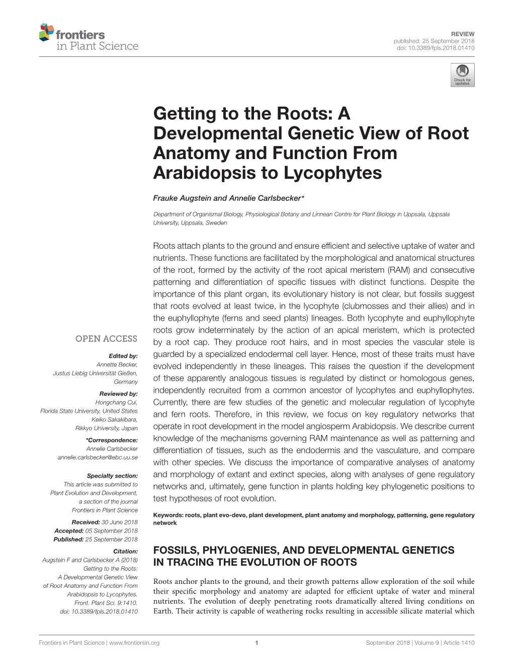 Getting to the Roots: a Developmental Genetic View of Root Anatomy and Function from Arabidopsis to Lycophytes