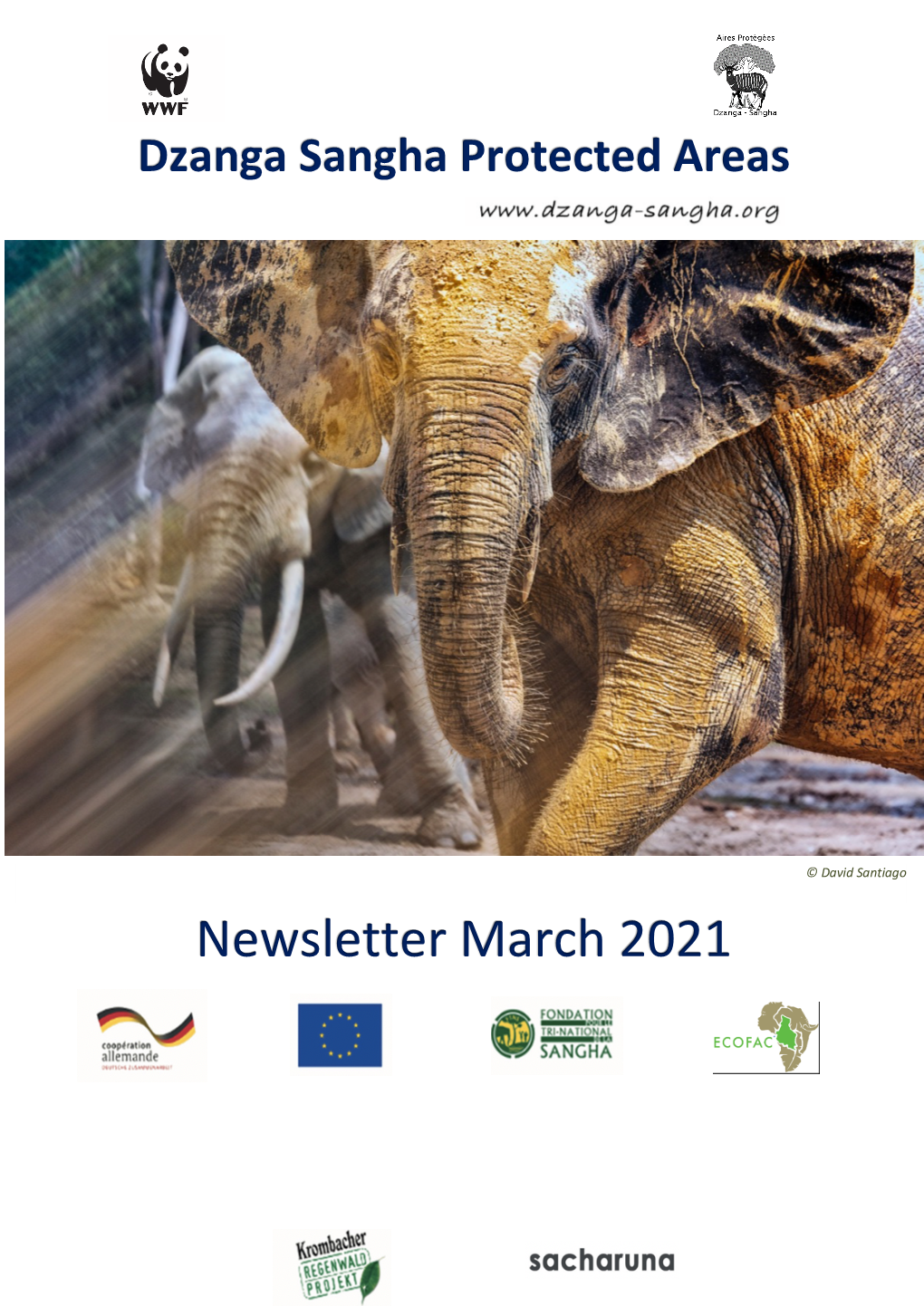 Newsletter March 2021