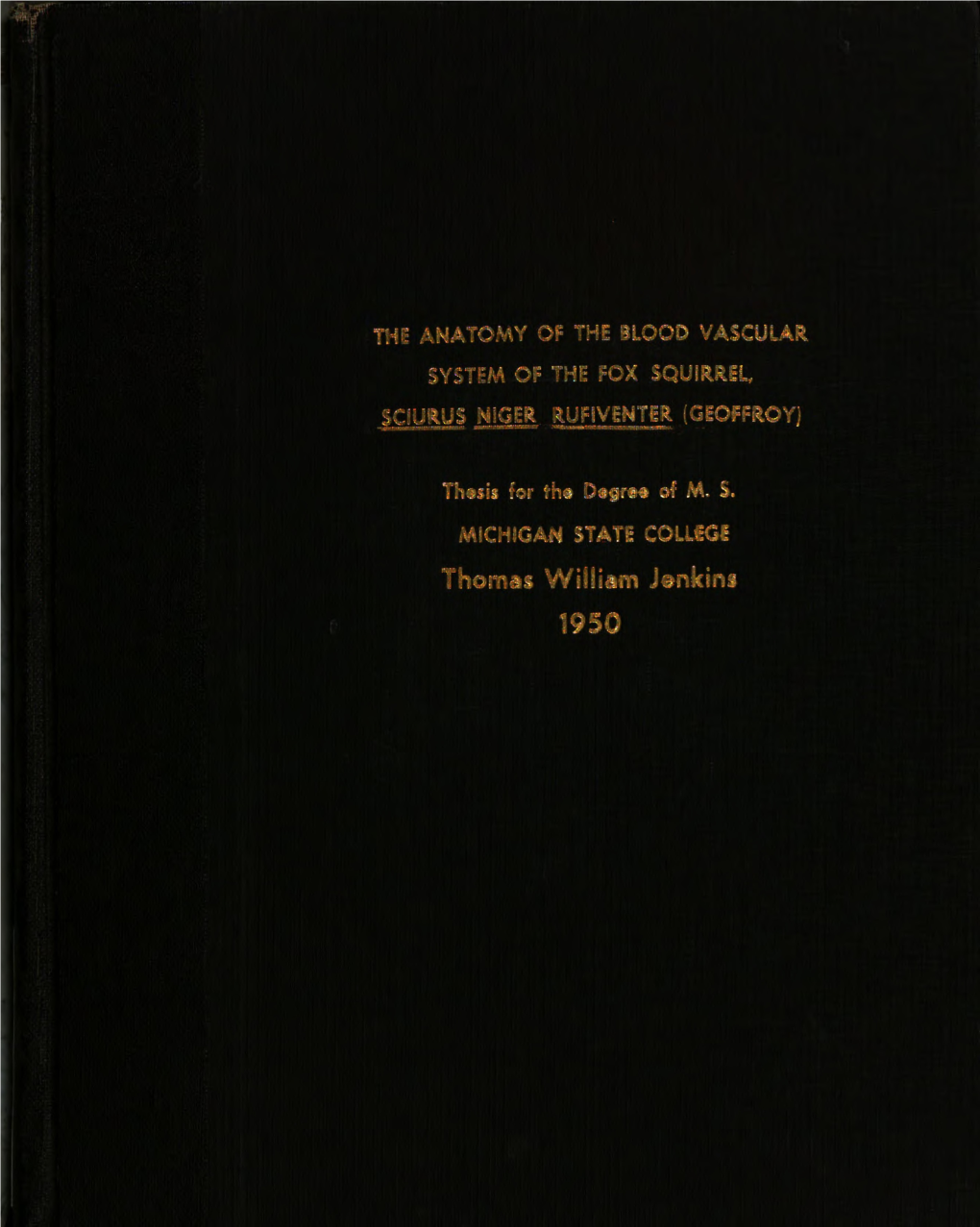 The Anatomy of Th-E Blood Vascular System of the Fox ,Squirrel