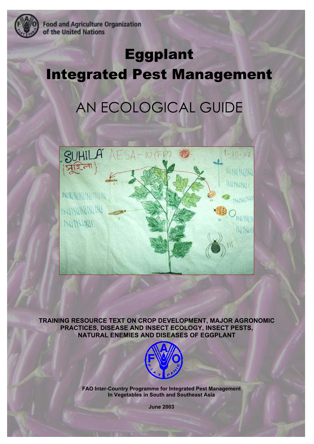 Eggplant Integrated Pest Management
