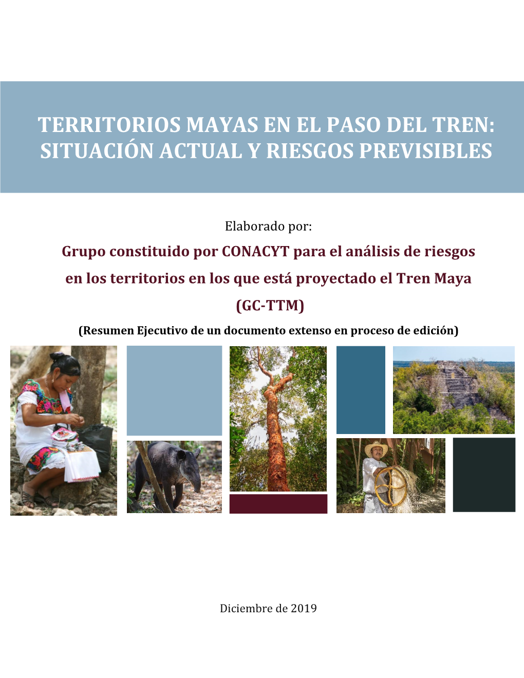 TERRITORIOS MAYAS EN EL PASO DEL TREN: SITUACIÓN ACTUAL Y RIESGOS PREVISIBLES Elaborado Por