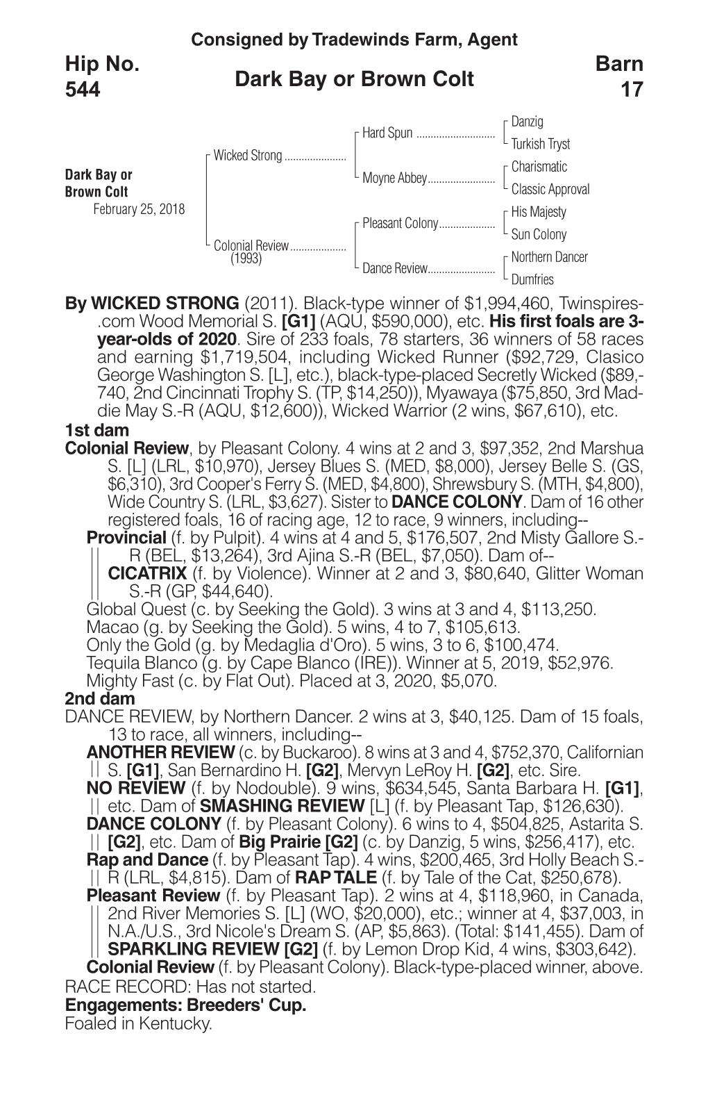 Dark Bay Or Brown Colt Barn 17 Hip No