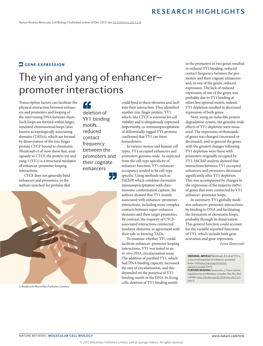 The Yin and Yang of Enhancer–Promoter Interactions