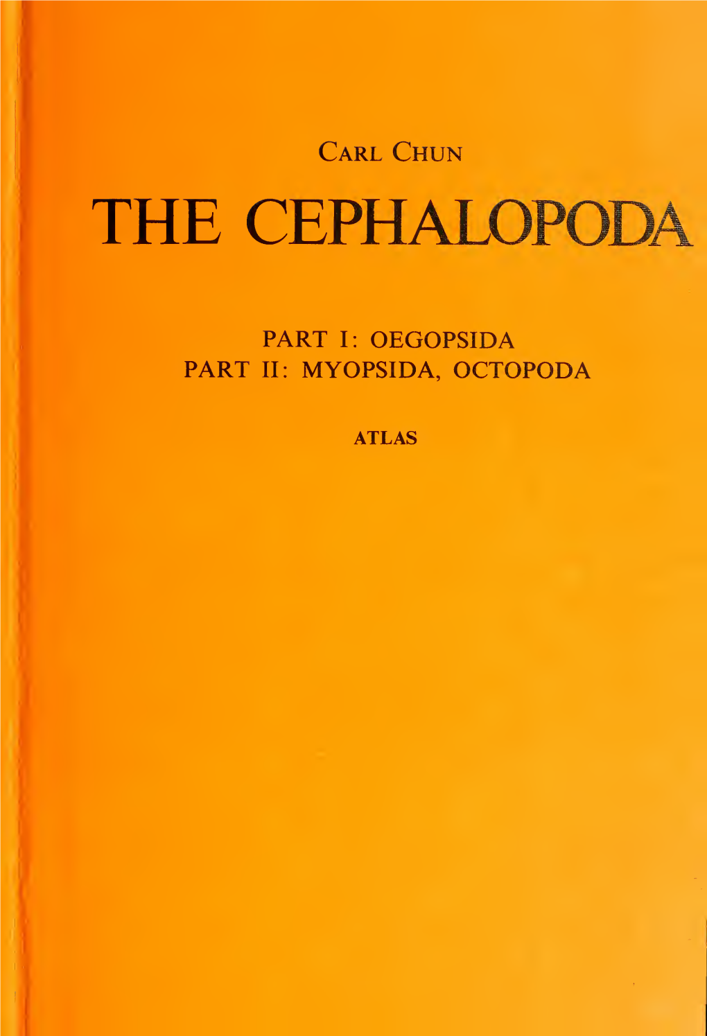 The Cephalopoda