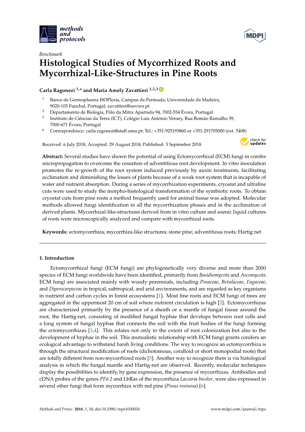 Histological Studies of Mycorrhized Roots and Mycorrhizal-Like-Structures in Pine Roots