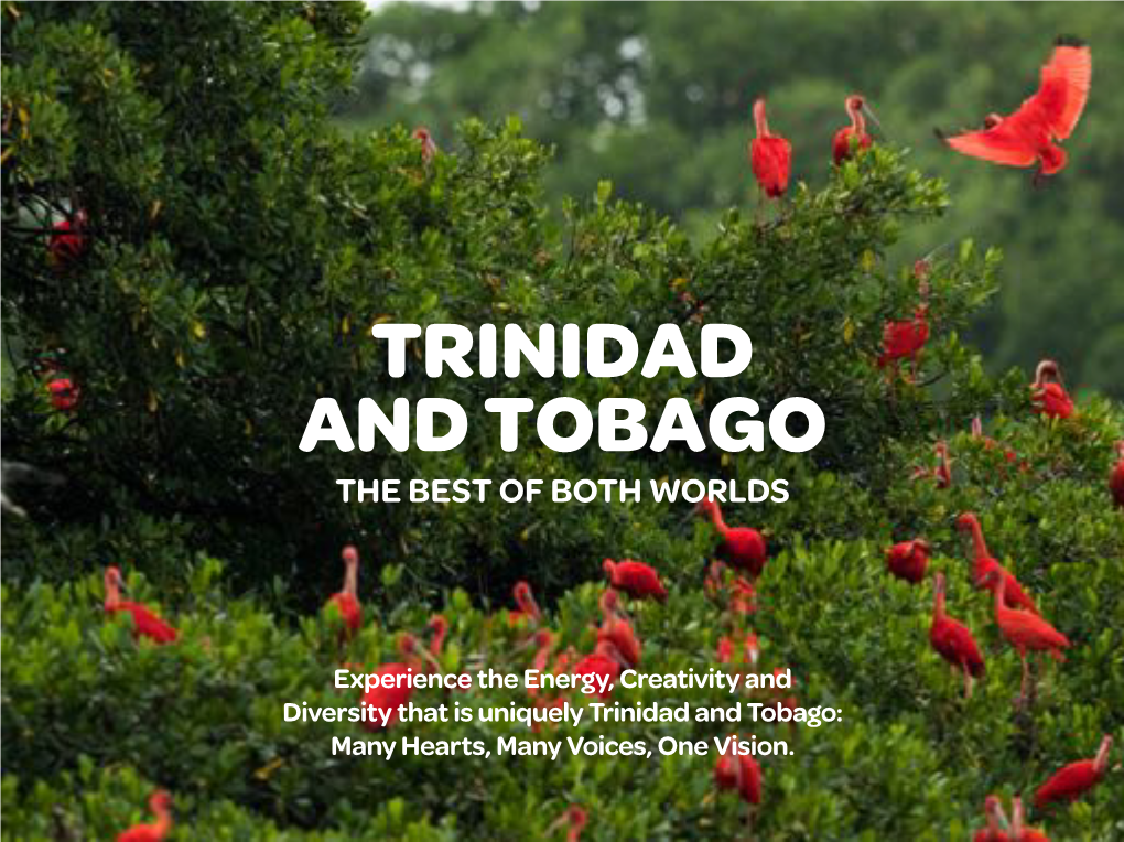 Experience the Energy, Creativity and Diversity That Is Uniquely Trinidad and Tobago: Many Hearts, Many Voices, One Vision