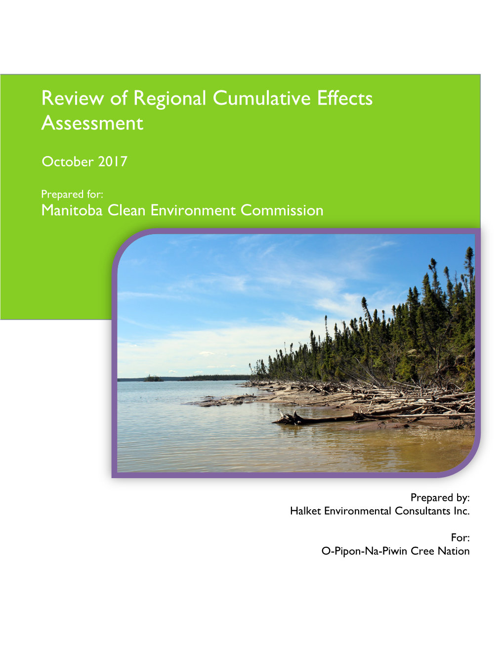 Review of Regional Cumulative Effects Assessment