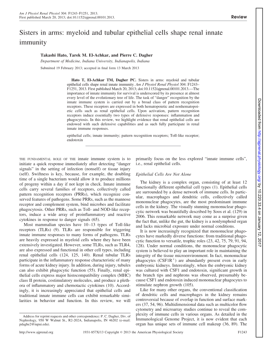 Myeloid and Tubular Epithelial Cells Shape Renal Innate Immunity