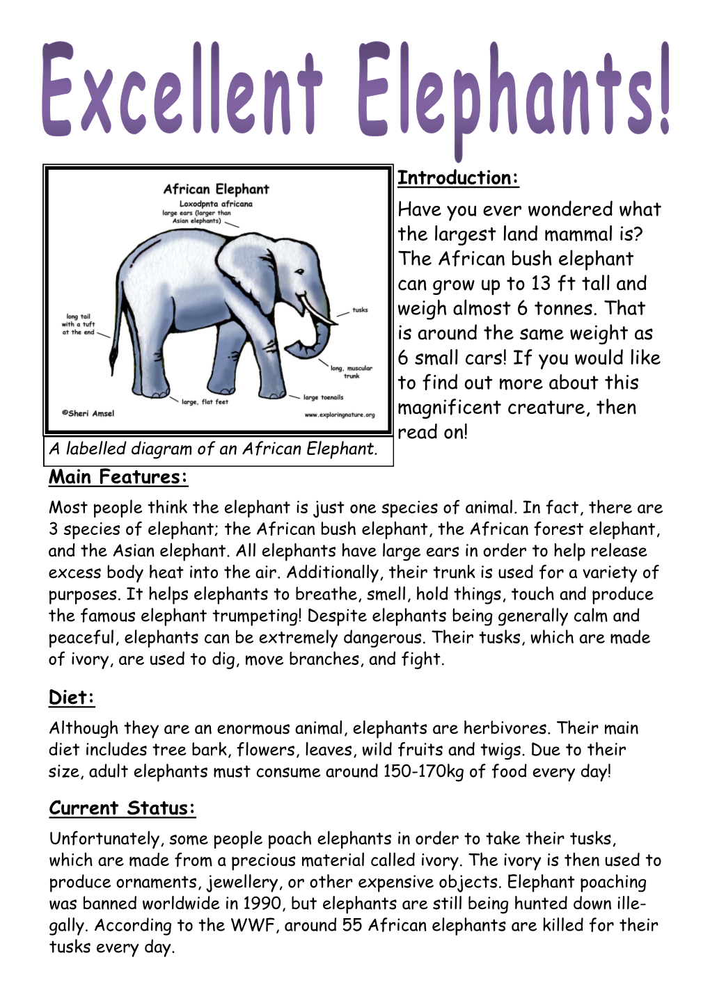 The African Bush Elephant Can Grow up to 13 Ft Tall and Weigh Almost 6 Tonnes