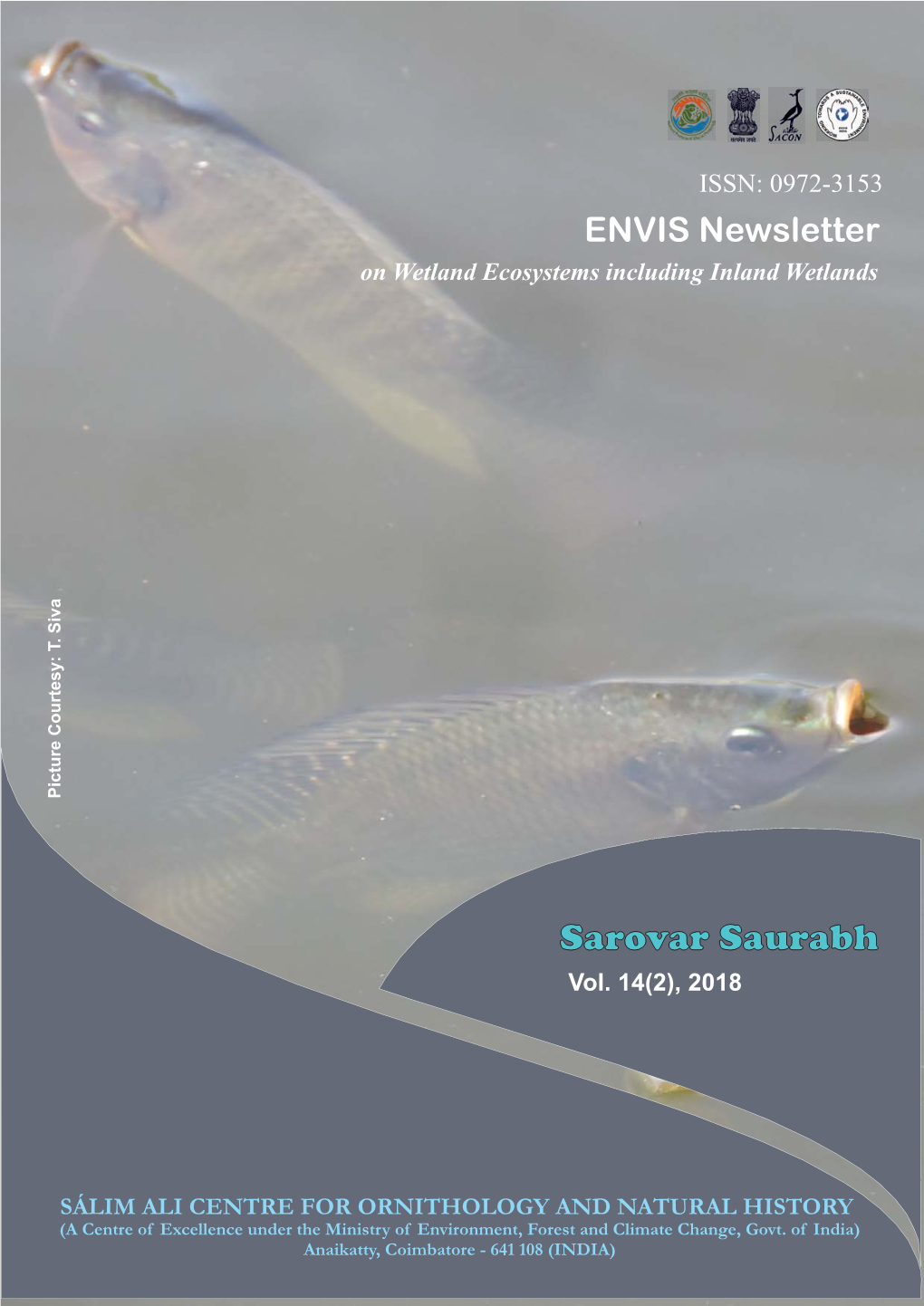 1. INDIAN MOTTLED EEL Use and Trade