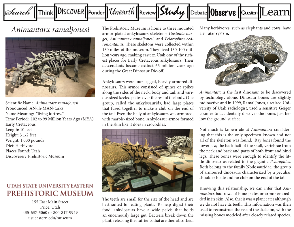 Animantarx Ramaljonesi Armor-Plated Ankylosaurs Skeletons: Gastonia Bur- a Similar System