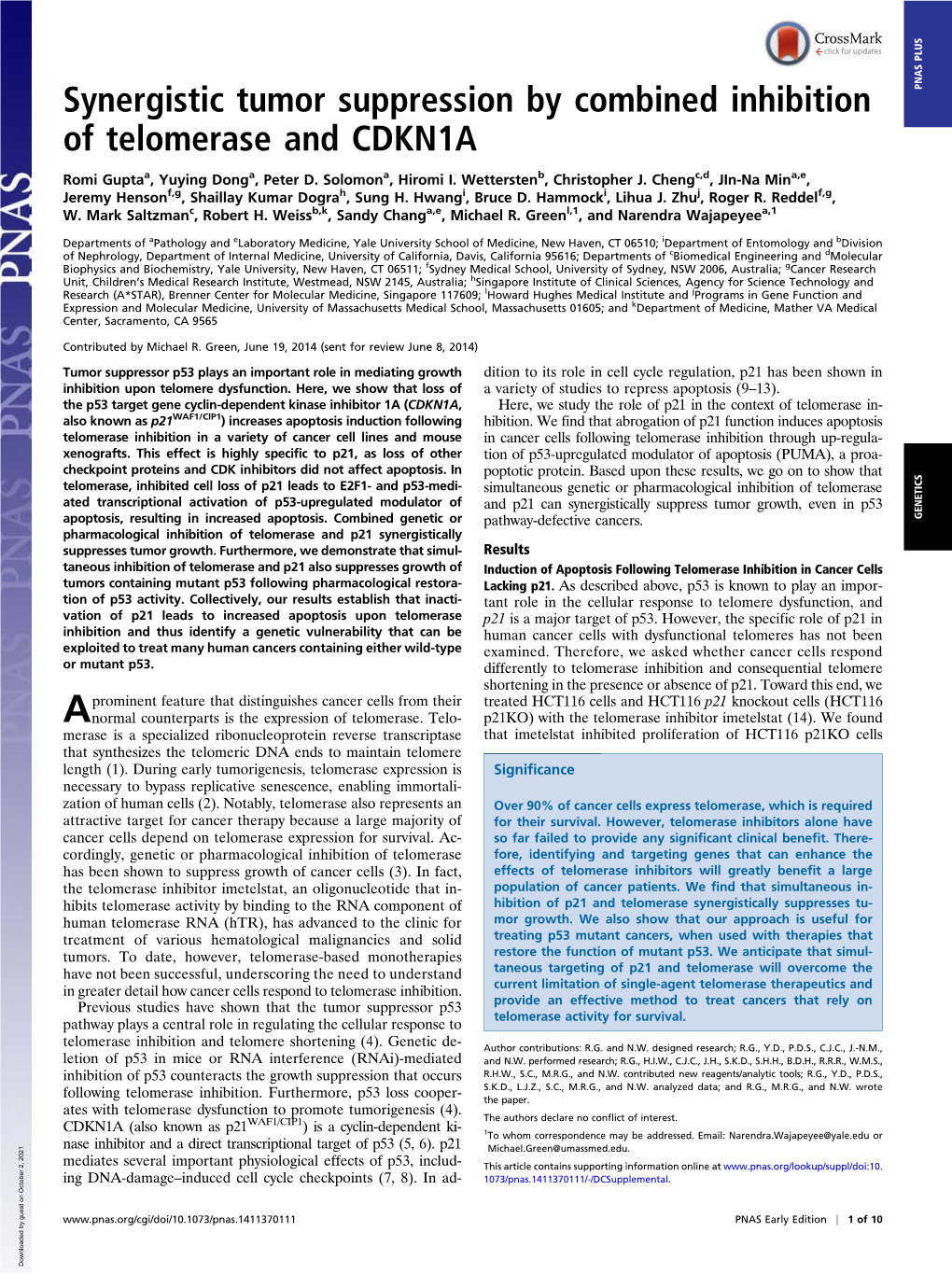 Synergistic Tumor Suppression by Combined Inhibition of Telomerase