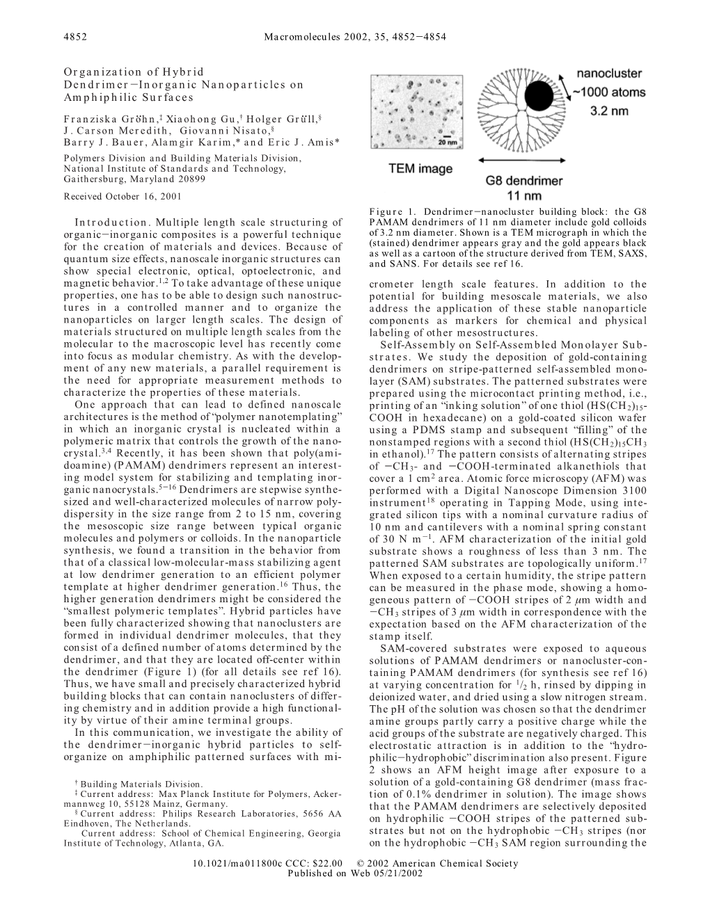 Organization of Hybrid Dendrimer-Inorganic Nanoparticles on Amphiphilic Surfaces