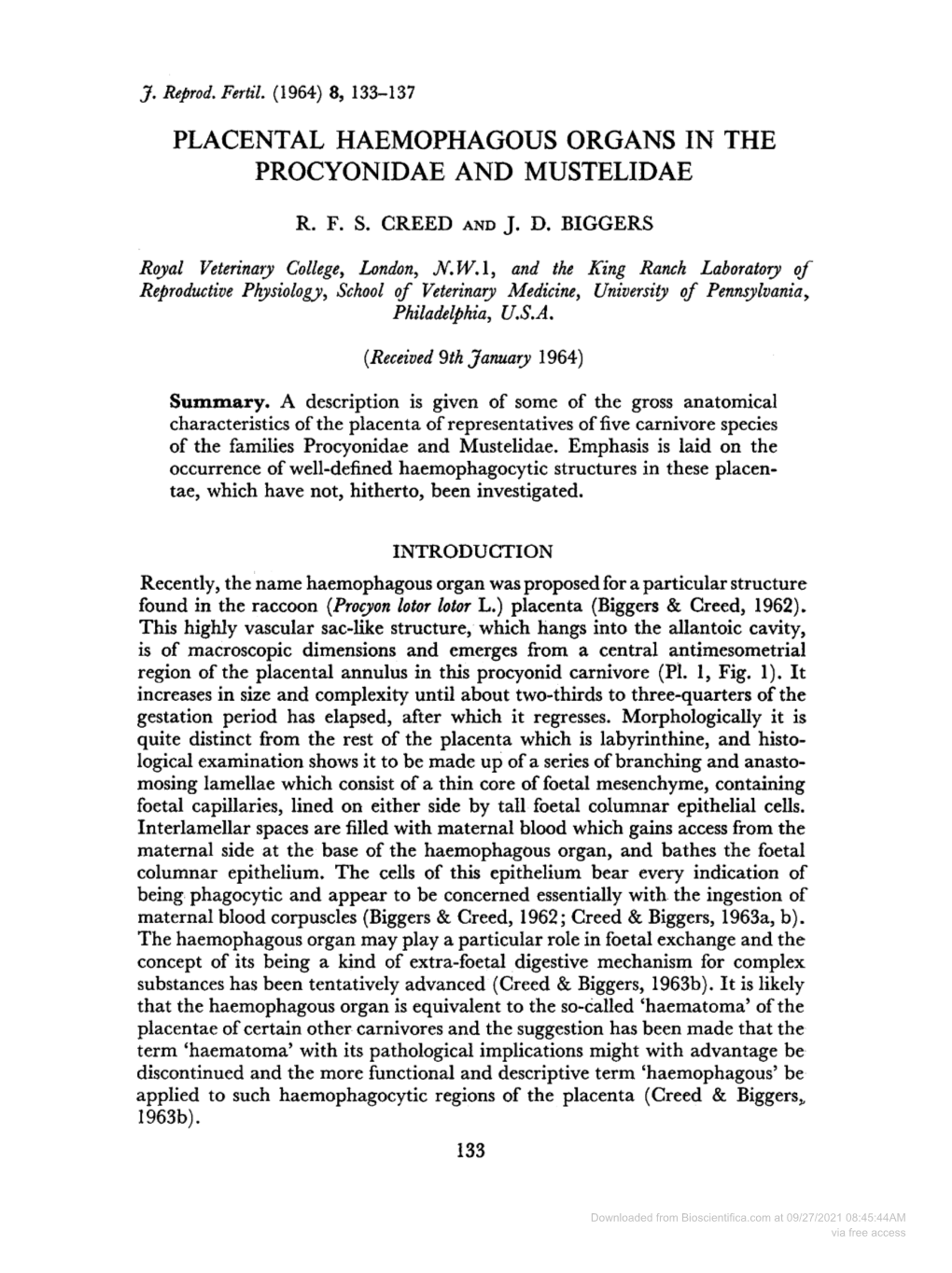 Placental Haemophagous Organs in the Procyonidae and Mustelidae