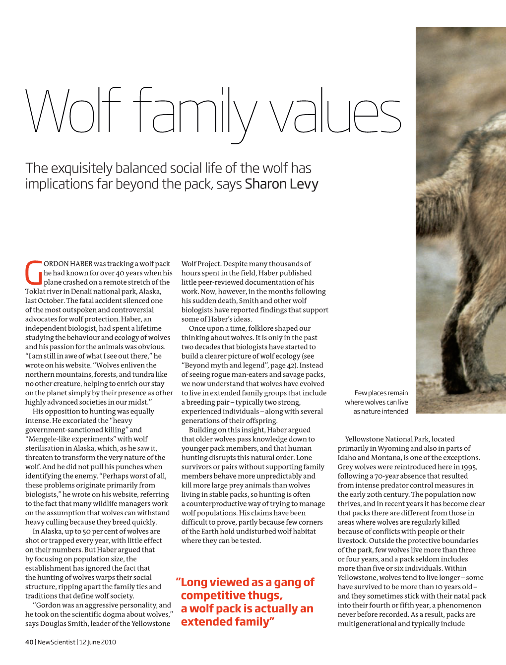 Wolf Family Values