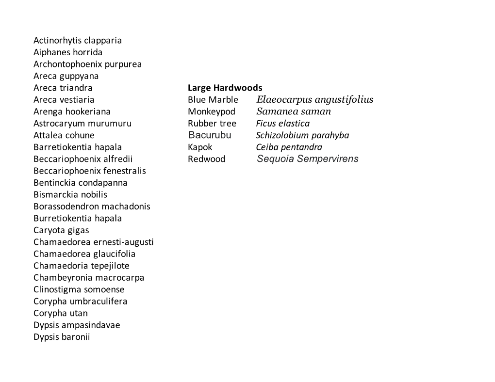 Kelley Palm Species List