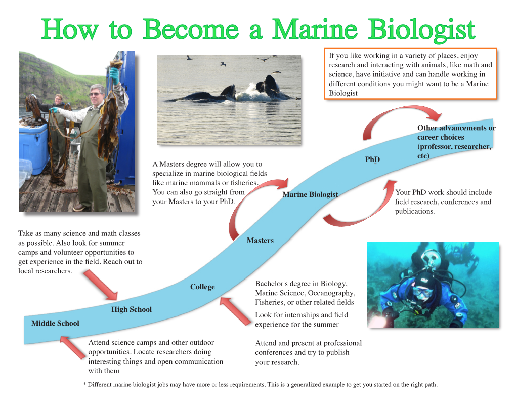 How to Become a Marine Biologist