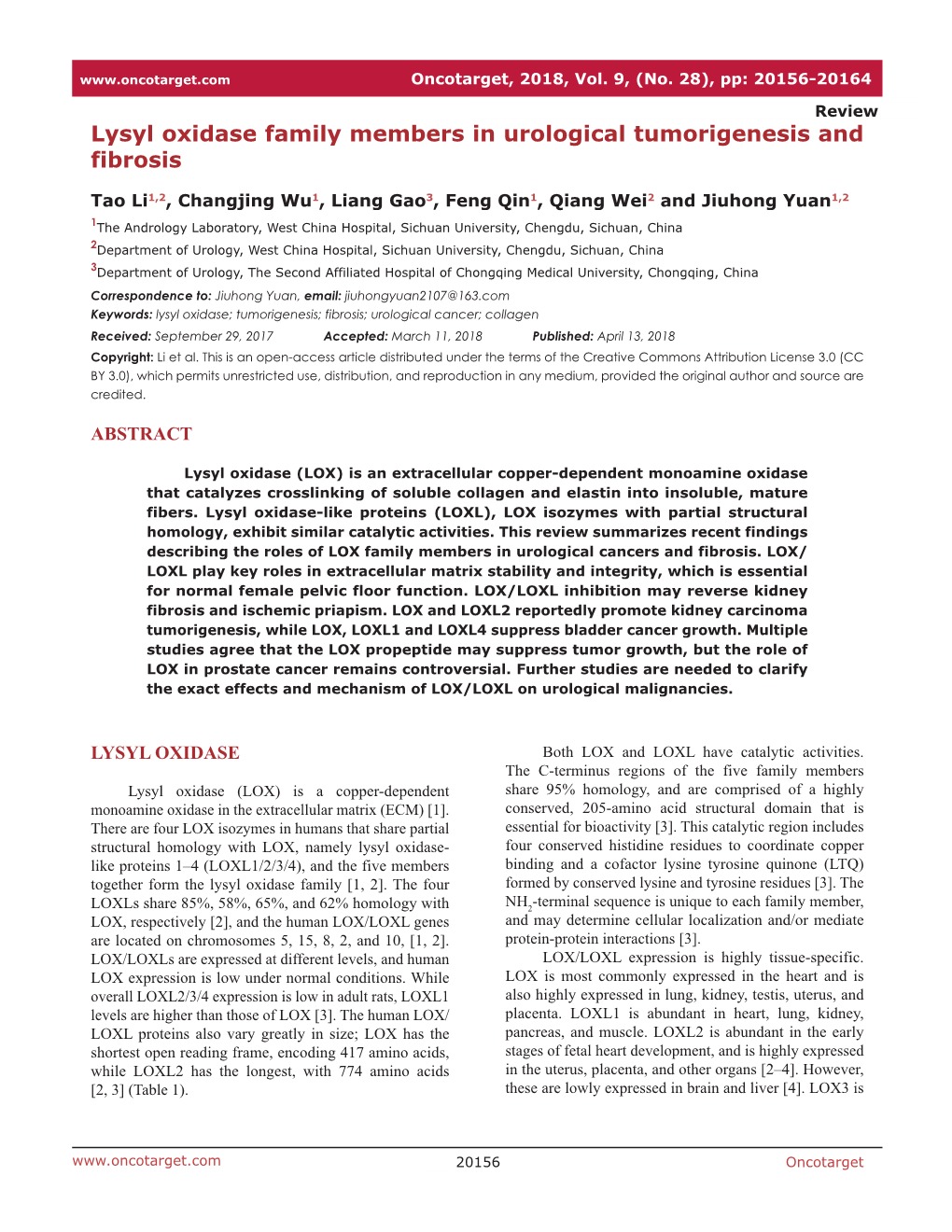 Lysyl Oxidase Family Members in Urological Tumorigenesis and Fibrosis