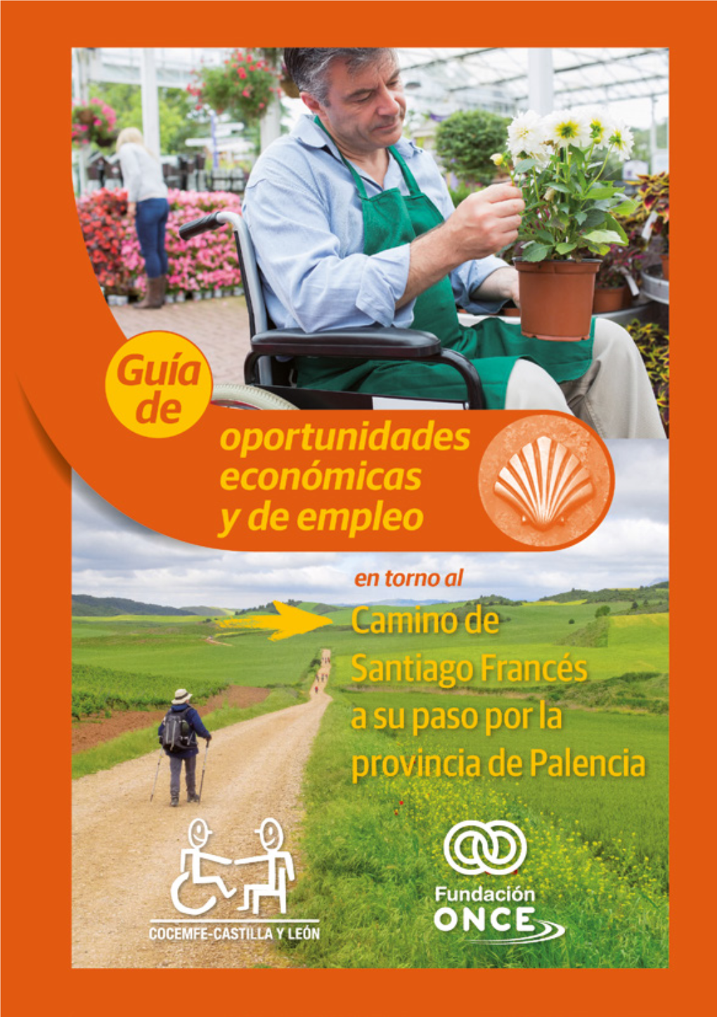 Oportunidades-Camino-Santiago