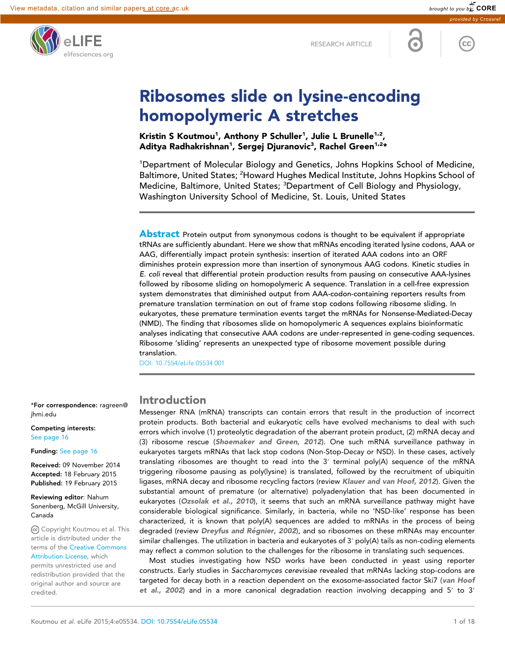 Ribosomes Slide on Lysine-Encoding Homopolymeric a Stretches