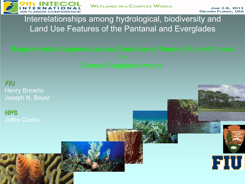 Interrelationships Among Hydrological, Biodiversity and Land Use Features of the Pantanal and Everglades