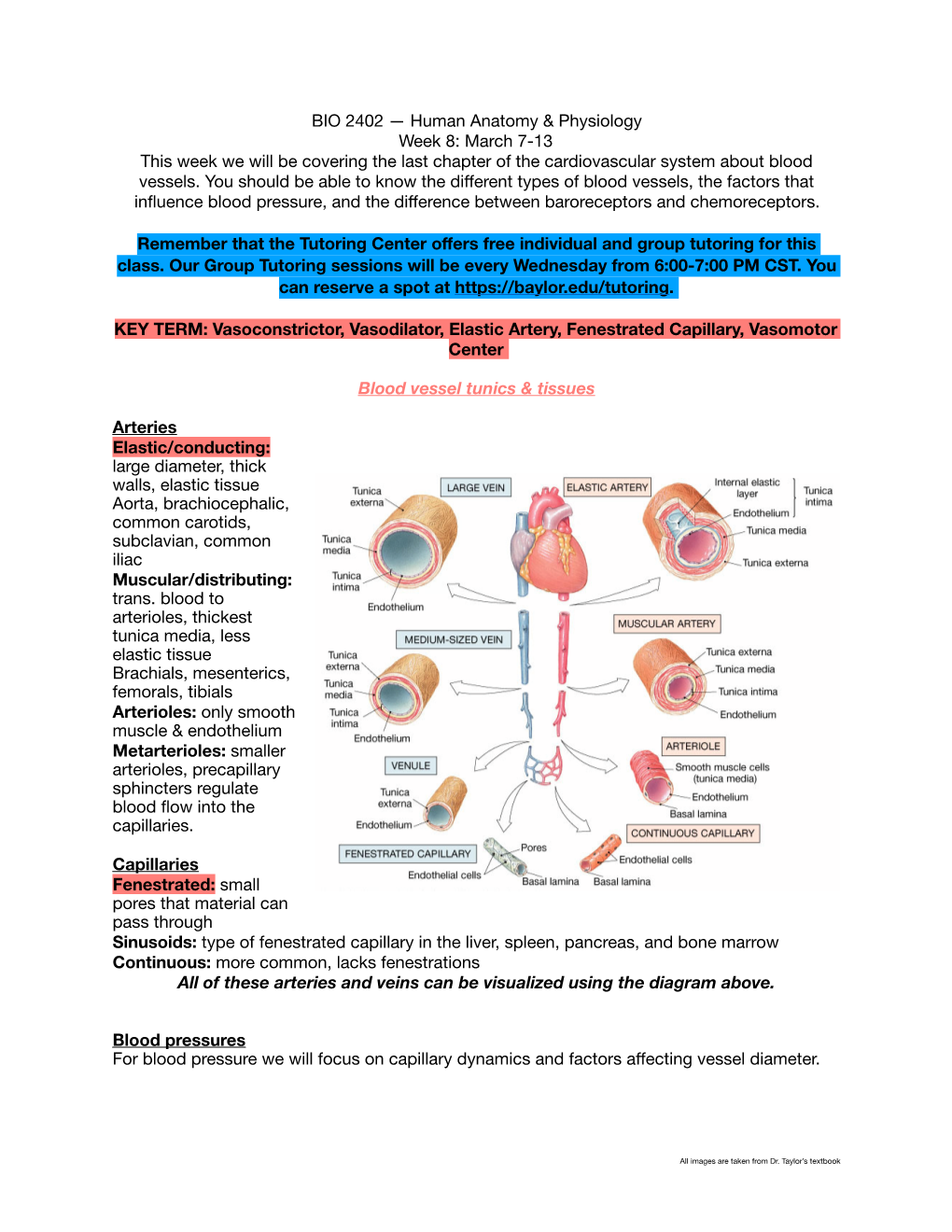 BIO 2402 Resource 8