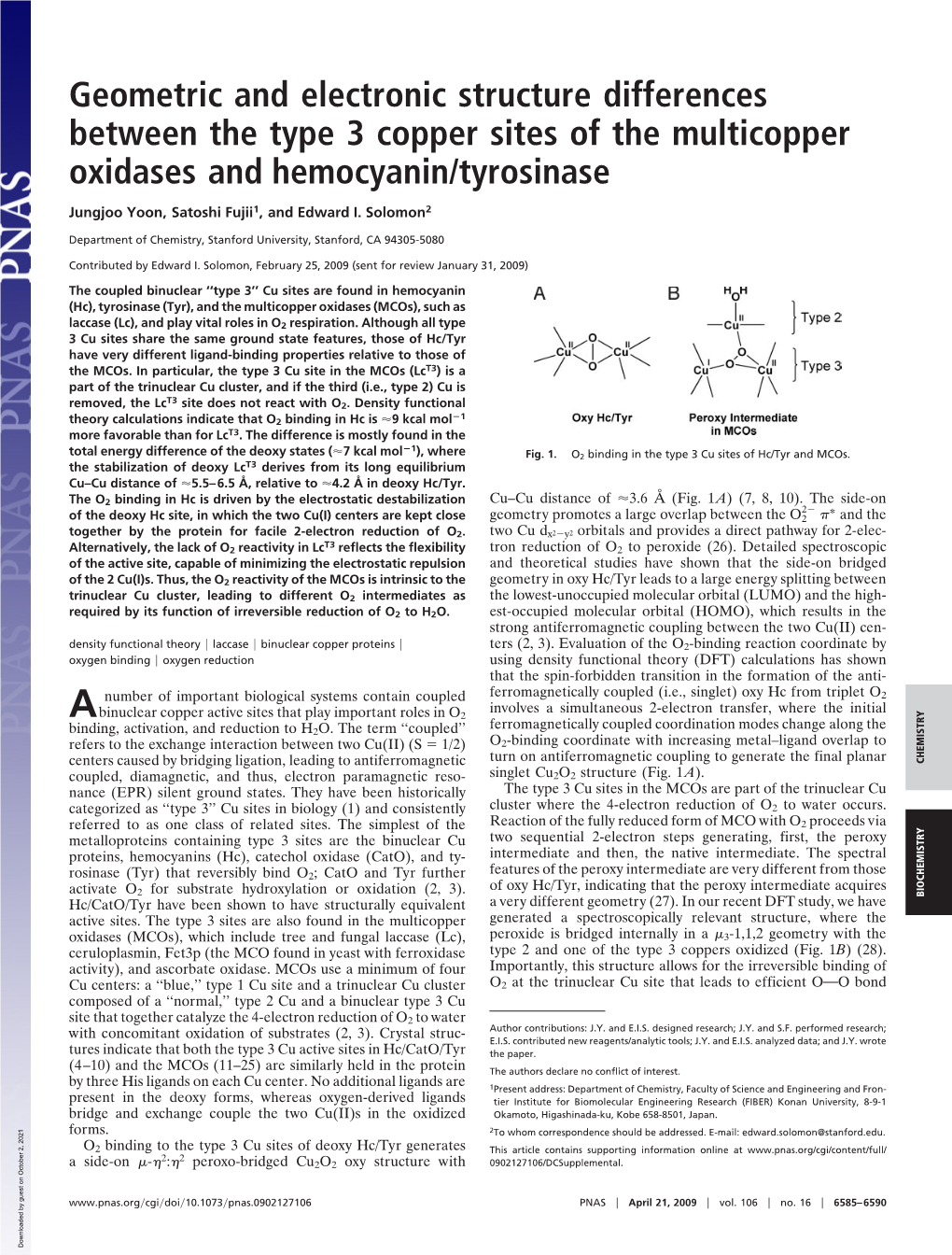 Geometric and Electronic Structure Differences Between the Type 3 Copper Sites of the Multicopper Oxidases and Hemocyanin/Tyrosinase