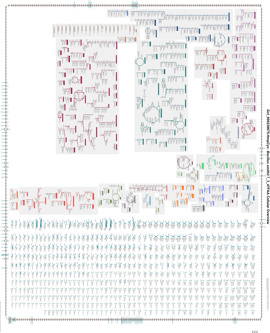 Generated by SRI International Pathway Tools Version 25.0, Authors S