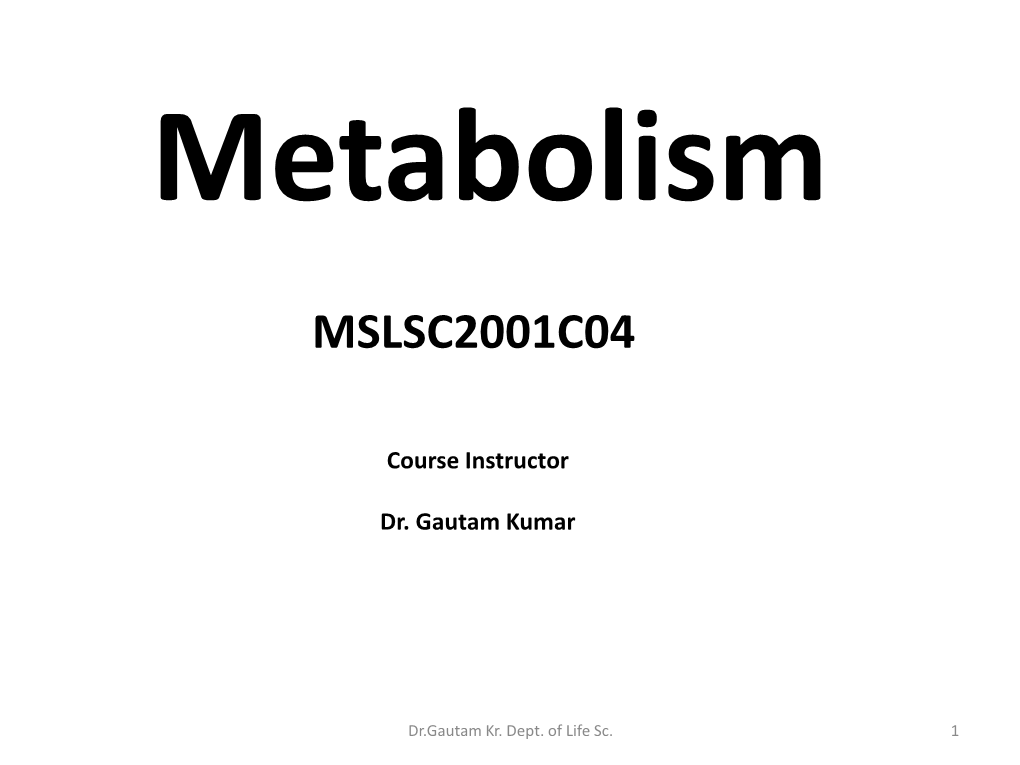 Mslsc2001c04