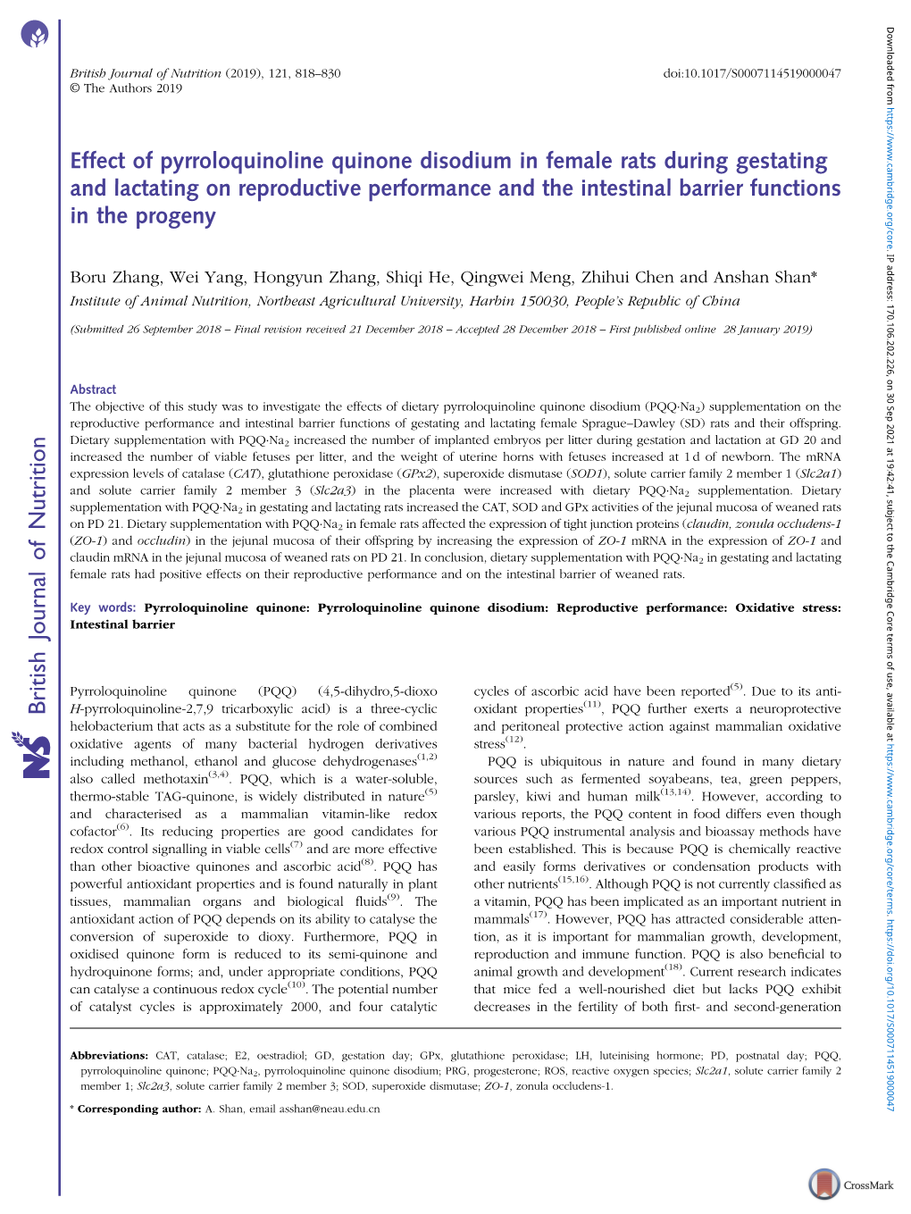 Effect of Pyrroloquinoline Quinone Disodium in Female Rats During