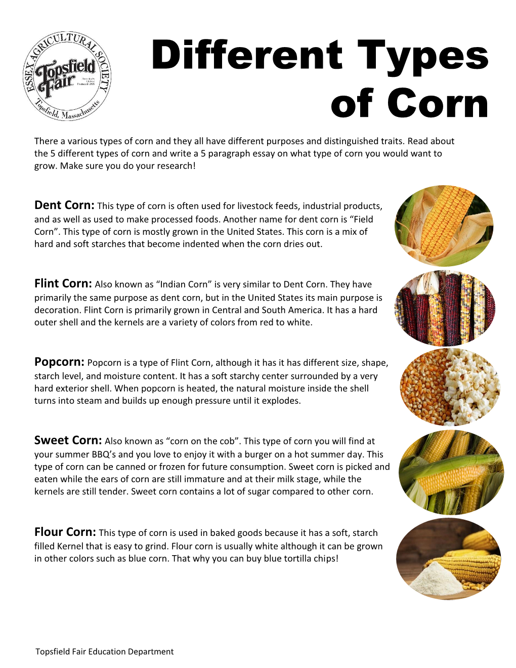 Different Types of Corn There a Various Types of Corn and They All Have Different Purposes and Distinguished Traits