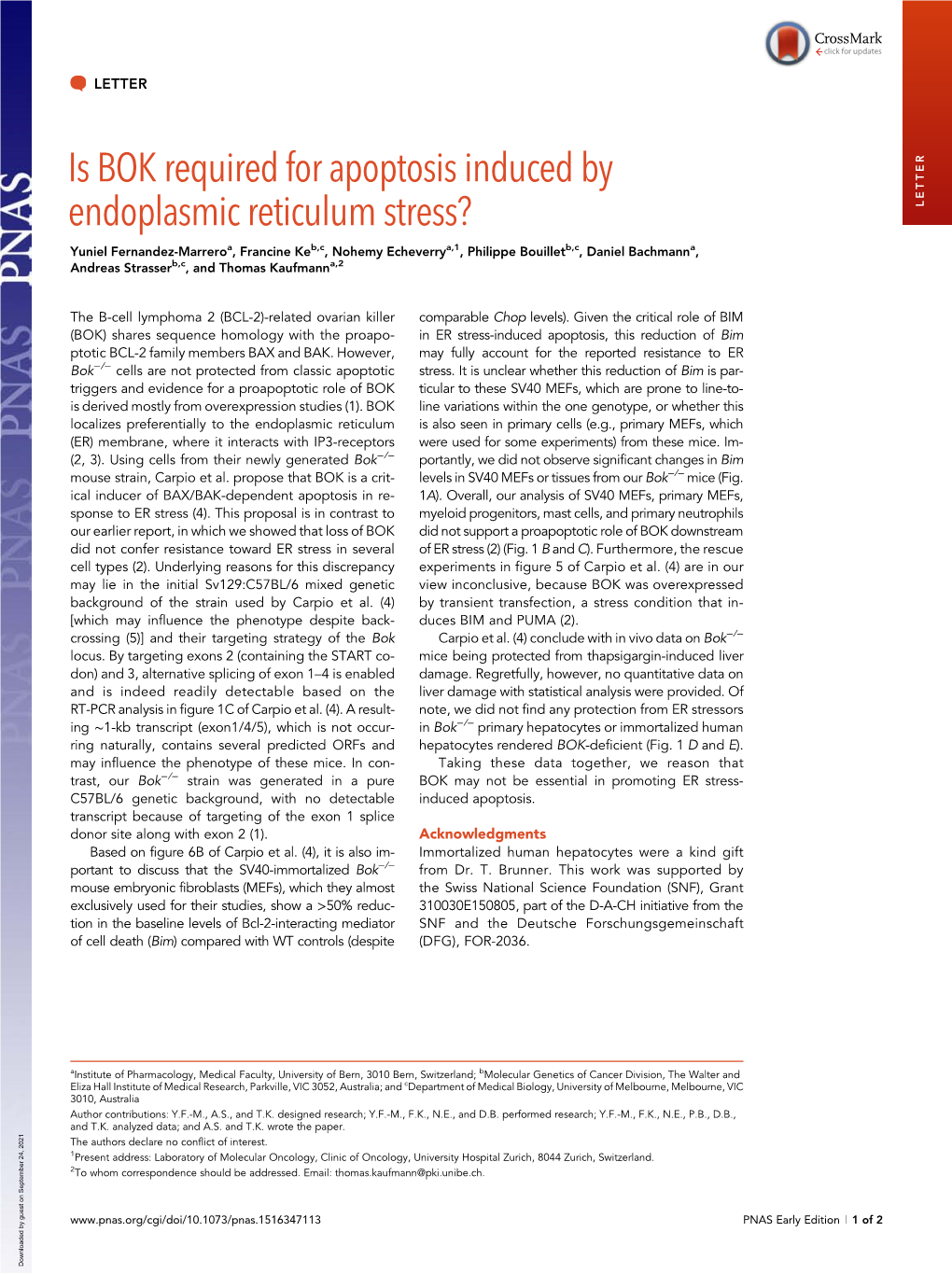 Is BOK Required for Apoptosis Induced by Endoplasmic Reticulum Stress?