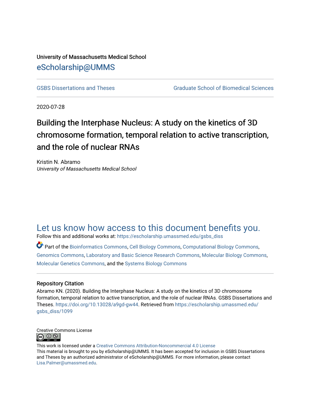 Building the Interphase Nucleus: a Study on the Kinetics of 3D Chromosome Formation, Temporal Relation to Active Transcription, and the Role of Nuclear Rnas