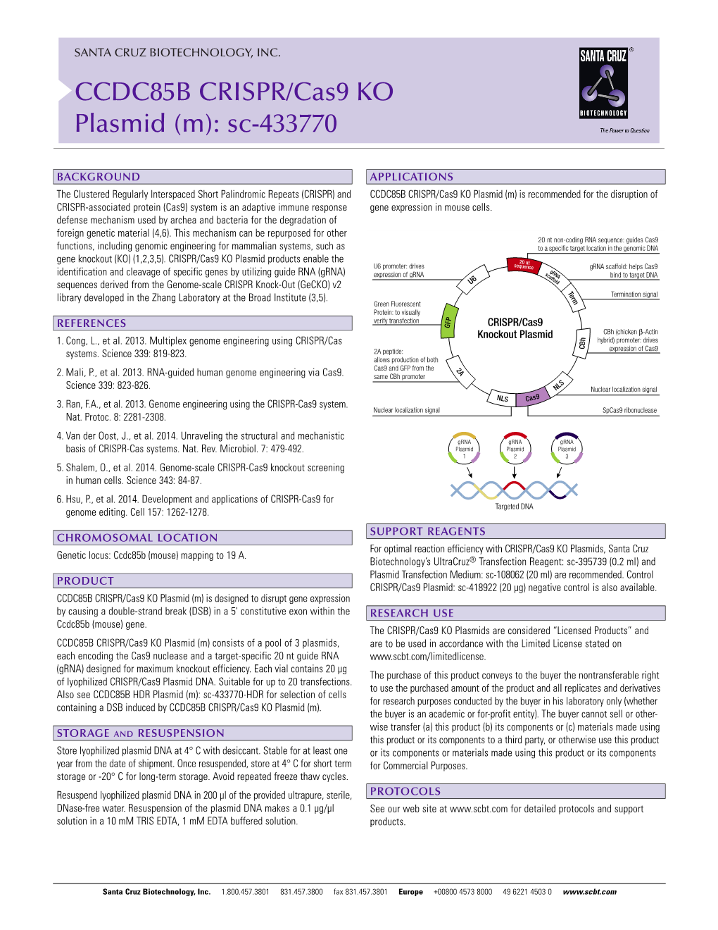 CCDC85B CRISPR/Cas9 KO Plasmid (M): Sc-433770