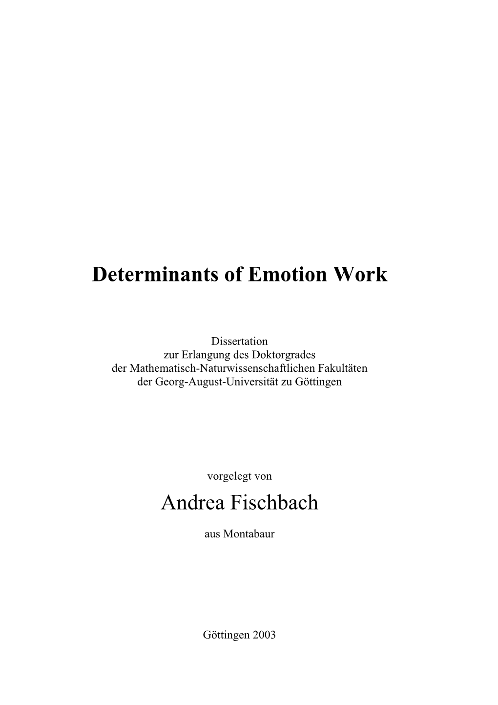 Determinants of Emotion Work