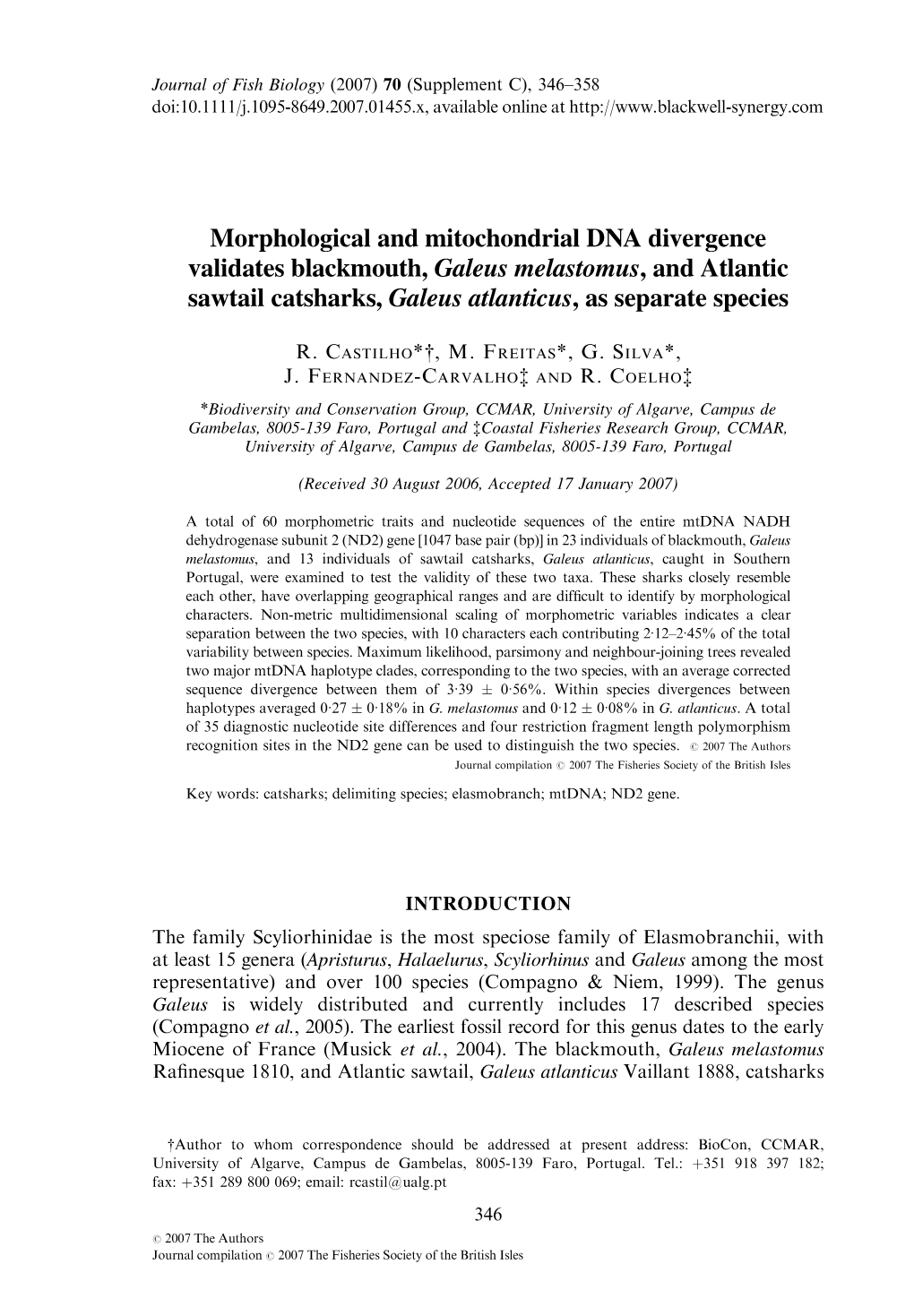 Morphological and Mitochondrial DNA Divergence Validates Blackmouth, Galeus Melastomus, and Atlantic Sawtail Catsharks, Galeus Atlanticus,Asseparatespecies