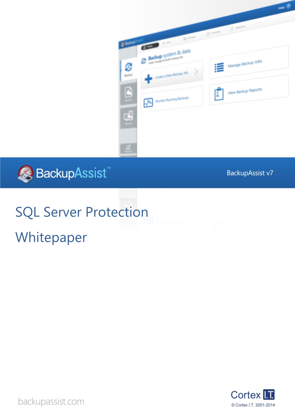 SQL Server Protection Whitepaper