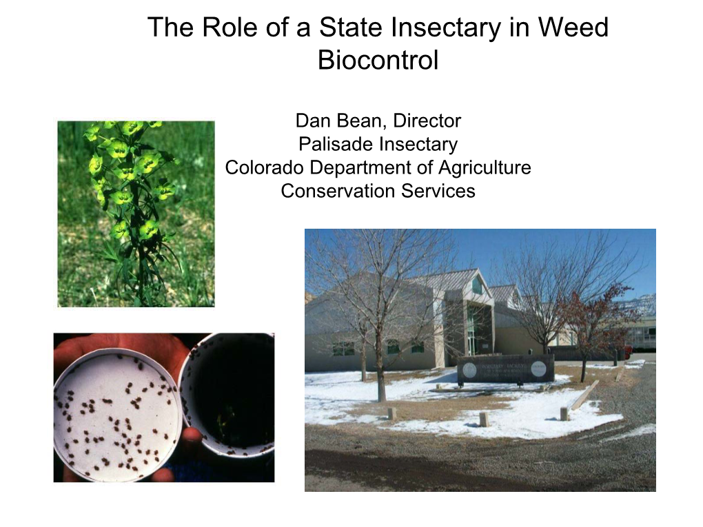 The Role of a State Insectary in Weed Biocontrol