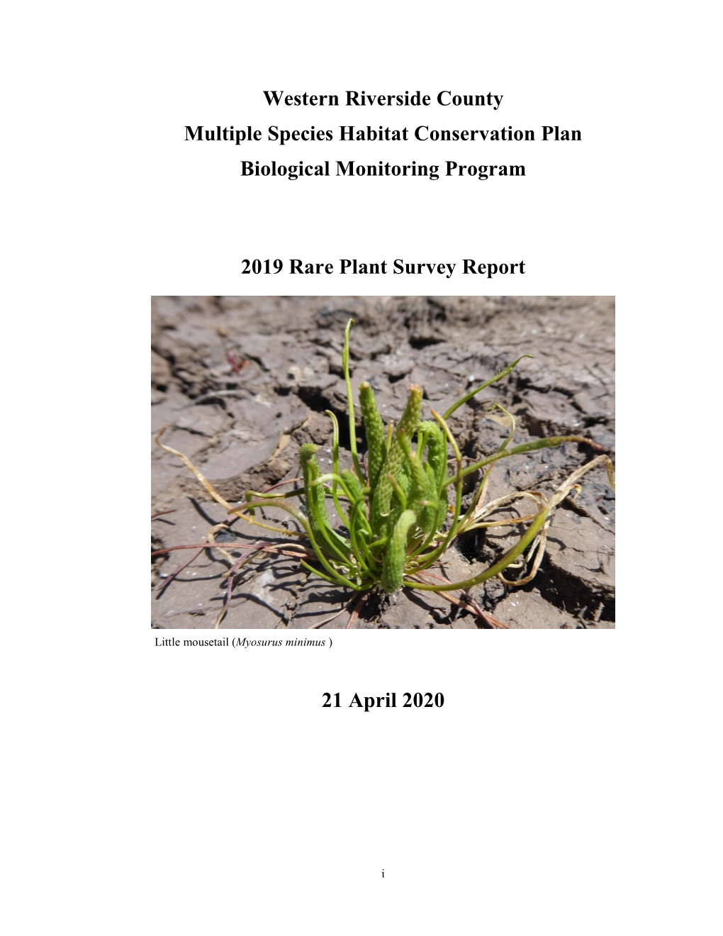 2019 Rare Plants Report