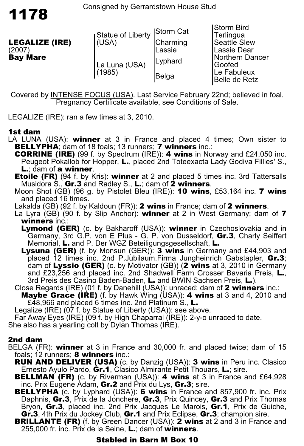 Consigned by Gerrardstown House Stud Storm Cat Storm Bird